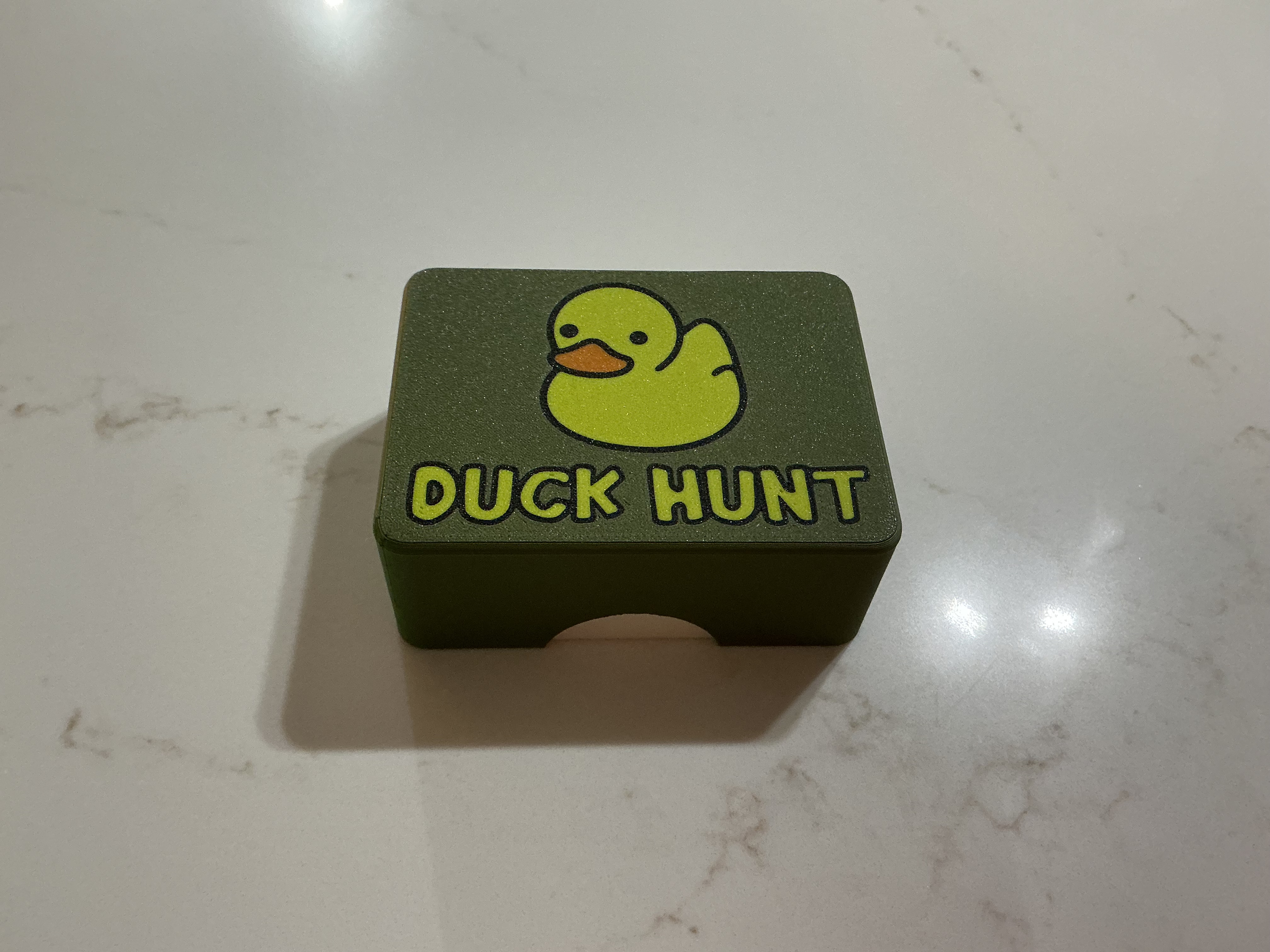 Duck Hunt